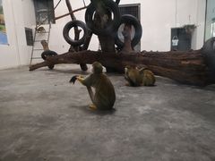 -西安秦岭野生动物园