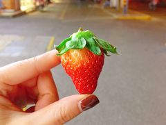 -家辉生鲜超市(东五路店)