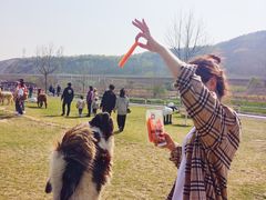 -大连铭湖国际观光牧场