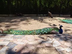 -秦皇岛野生动物园