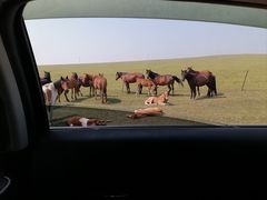 -呼和诺尔旅游景区