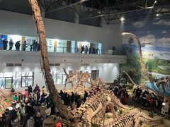 -自贡恐龙博物馆