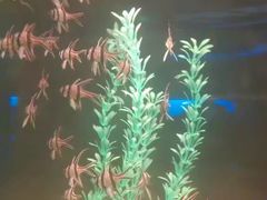 -重庆欢乐海底世界