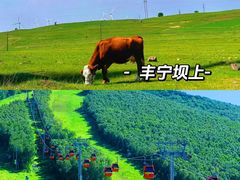 -沉浸北京·团建旅行·密室剧本杀·年会会议轰趴拓展