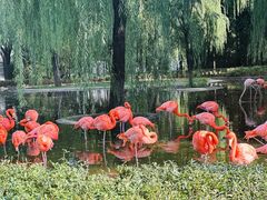 -石家庄市动物园