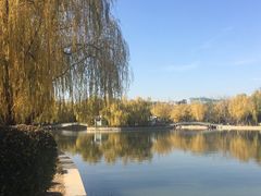 -青年湖公园水上世界