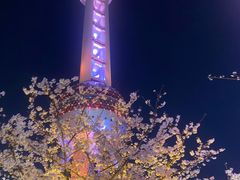 -东方明珠广播电视塔