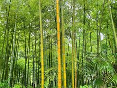 -上海市保健医疗中心