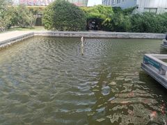 -运河城商业摩尔(太白楼路店)