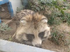 -无锡动物园·太湖欢乐园