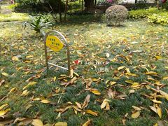 -晓港公园