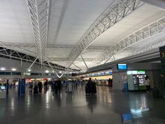 -约翰·菲茨杰拉德·肯尼迪国际机场