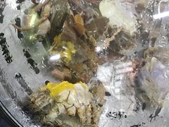 -争先鲜·蒸汽海鲜自助·鲜切牛肉