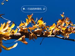 -永定河休闲森林公园