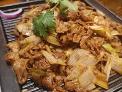 -北平盛世·新京菜·北京烤鸭(劲松·双井店)