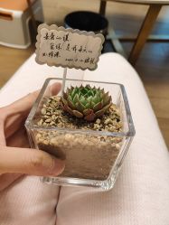 -季橙月子护理中心