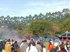 -火炉山森林公园