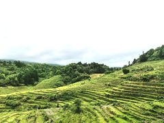-南靖田螺坑土楼群景区