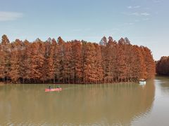 -上海海湾国家森林公园