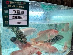 -德天肥牛海鲜火锅(城西银泰店)
