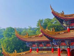 -东莞市大岭山森林公园
