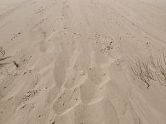 -玉龙沙湖景区