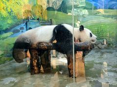 -上海野生动物园