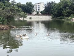 -厦门悦华酒店