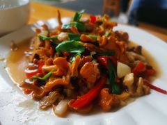 -翕庐小苑