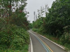 -桤木河湿地公园