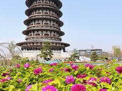 -隋唐洛阳城明堂天堂景区