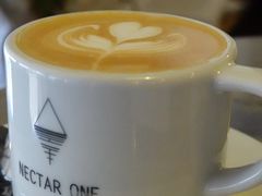 -Nectar One Cafe(勇烈路n1店)
