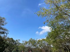 -番禺大夫山森林公园
