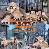深圳拍照探店｜首发🧸60只泰迪熊来袭啦！