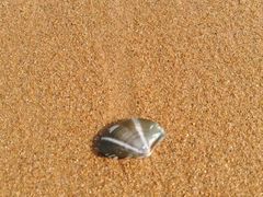 -金梦海湾浴场