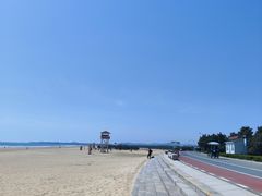 -日照海滨国家森林公园