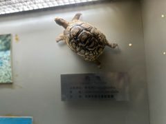 -大连自然博物馆