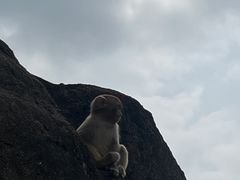 -海南热带野生动植物园