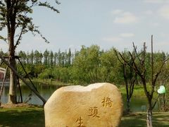 -上海长兴岛郊野公园