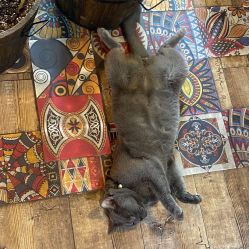 -青木造型HAIR·あおき髪を刈る潮人店