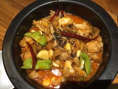 -云海肴·汽锅鸡·云南菜(天津国金汇店)