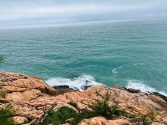 -广东惠东海龟国家级自然保护区