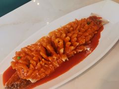 珊瑚鱼-刘胖子家常菜·蹄花焖藕(富安街店)