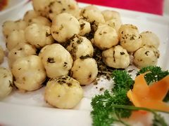 -田园小观园(武大店)