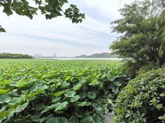 -云龙湖旅游景区