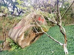 -乌山风景区