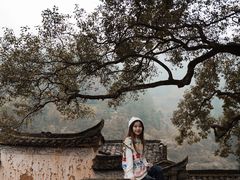 -杨家堂村