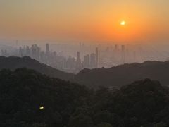 -大金鹰园