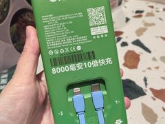 -华嫂冰室(湾仔店)