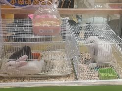 -小象动悟公园(龙湖亦庄天街店)